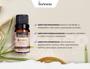 Óleo Essencial Lavanda 100% Natural 10ml Via Aroma Imagem de Óleo Essencial Lavanda 100% Natural 10ml Via Aroma