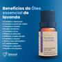 Óleo Essencial Lavanda 100% Natural 10ml Via Aroma Imagem de Óleo Essencial Lavanda 100% Natural 10ml Via Aroma