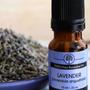 Imagem de Oleo Essencial Lavanda 10ml Plantlife Puro e Natural