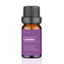 Imagem de Óleo Essencial Lavanda Anti Estresse 10Ml Hc122