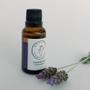 Imagem de Óleo Essencial Lavanda Brasil 30Ml