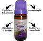 Imagem de Óleo Essencial Lavanda Da BuLGária 10ml Natural 100% Puro