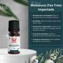 Imagem de Óleo Essencial Melaleuca (Tea Tree) Importado