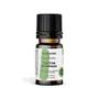 Imagem de Óleo Essencial Tea Tree Melaleuca - 10 ml 