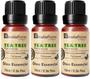 Imagem de ÓLEO ESSENCIAL TEA TREE (MELALEUCA) 10ml NATUFLORES kit 3 und