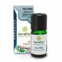 Imagem de Óleo Essencial Tea Tree Melaleuca Orgânico Terra Flor 10ml