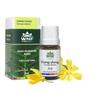 Imagem de Óleo Essencial Ylang Ylang 5ml - Cananga odorata, WNF