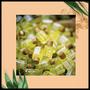 Imagem de Óleo Inoar Argan Oil Kit C/ 3 Unidades De 7ml Cada