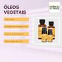 Imagem de Óleo Vegetal de Argan - 60ml Puro e Natural