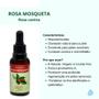 Imagem de Óleo Vegetal Puro Rosa Mosqueta 30ml Harmonie Aromaterapia