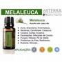 Imagem de Óleos Essenciais 100% Puro Melaleuca 15ml Tea Tree - doTERRA