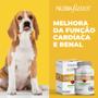 Imagem de Omega 3 Suplemento Nutrafases 60 Tabletes Sabor Carne Caes 168g