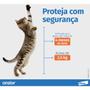 Imagem de Onsior Elanco para Gatos acima de 2,5 Kg - 6 mg