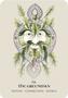 Imagem de Oráculo do Espírito Celta: Sabedoria Antiga dos Elementais 36 cartas borda dourada livro 112 pág