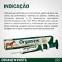 Imagem de Organew 32g Pasta Suplementos Para Cavalos E Suínos - Vetnil