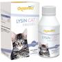 Imagem de Organnact Cat Lysin SF - Suplemento para Felinos - 100ml