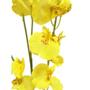 Imagem de Orquidea Artificial Chuva De Ouro Para Arranjos