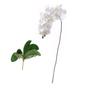 Imagem de Orquidea Artificial + FOLHAS Artificiais Toque Real Tipo Silicone Flores Brancas Flor Decorativas