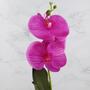 Imagem de Orquidea Artificial Média