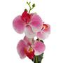 Imagem de Orquidea Artificial Média