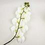 Imagem de Orquídea Branca 95X16Cm Planta Artificial Toque Real