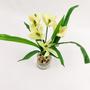 Imagem de Orquídea Branca Planta Artificial 31X20X17Cm Com Vaso