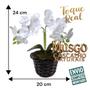 Imagem de Orquídea Miniatura: Beleza Natural Em Versão Artificial