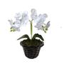 Imagem de Orquídea Miniatura: Beleza Natural Em Versão Artificial