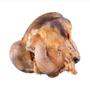 Imagem de Osso PetTreats Cabeça de Fêmur Natural para Cães - 1 unidade