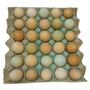 Imagem de Ovoscópio Ovoscopia verifique 30 ovos Férteis ou Trincados