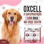 Imagem de Oxcell 500 21g Suplemento Para Cães e Gatos 30 Cápsulas