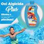Imagem de Oxi Algicida Plus Igui Original Sua Piscina Sem Algas