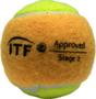 Imagem de Pack 10 Bolinhas Bola De Beach Tennis Ama Sport Premium Pro