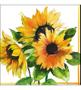 Imagem de Pacote Com 20 Guardanapos 33x33cm Girasoli FSC Mix