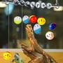 Imagem de Pacote com 7 bolas Toy Koomduk Bearded Dragon Reptile Lizard