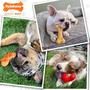 Imagem de Pacote de brinquedos Dog Chew Nylabone Power Chew para cães pequenos