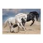 Imagem de Painel Adesivo de Parede - Cavalos - Animais - 1732pnm