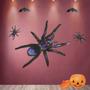 Imagem de Painel Aranha Decoração Halloween 