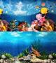 Imagem de Painel para aquário dupla face 80cm x 50cm