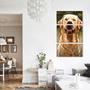 Imagem de Painel quadros mosaico cachorros e gatos(pet) med. 105x65 ps 2mm adesivo fosco borda infinita