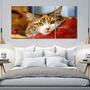 Painel quadros mosaico cachorros e gatos(pet) med. 105x65 ps 2mm adesivo fosco borda infinita - ATITUDE SIGNS Imagem de Painel quadros mosaico cachorros e gatos(pet) med. 105x65 ps 2mm adesivo fosco borda infinita