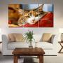 Painel quadros mosaico cachorros e gatos(pet) med. 105x65 ps 2mm adesivo fosco borda infinita - ATITUDE SIGNS Imagem de Painel quadros mosaico cachorros e gatos(pet) med. 105x65 ps 2mm adesivo fosco borda infinita