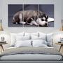 Imagem de Painel quadros mosaico cachorros e gatos(pet) med. 105x65 ps 2mm adesivo fosco borda infinita