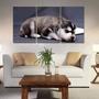 Imagem de Painel quadros mosaico cachorros e gatos(pet) med. 105x65 ps 2mm adesivo fosco borda infinita