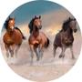 Imagem de Painel Redondo 3D Sublimado Cavalo Country Frd-1600