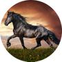 Imagem de Painel Redondo 3D Sublimado Cavalo Country Frd-1601