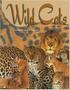 Imagem de Pair-It Books Proficiency Stage 5 Wild Cats Wild Cats Student Edition - Harcourt - Steck-Vaughn Publishers