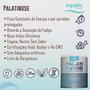 Imagem de Palatinose Equaliv 100% Palatinose Isomaltulose 300g