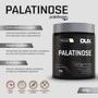 Imagem de Palatinose - Pote 400g - DUX