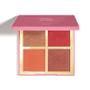 Imagem de Palette Multifuncional Cor 02 Niina Secrets Luminous 12g